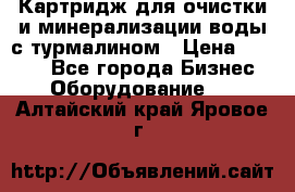 Картридж для очистки и минерализации воды с турмалином › Цена ­ 1 000 - Все города Бизнес » Оборудование   . Алтайский край,Яровое г.